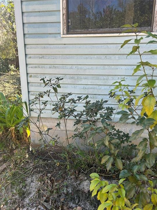 На продажу: $98,000 (3 спален, 1 ванн, 1645 Квадратных фут)