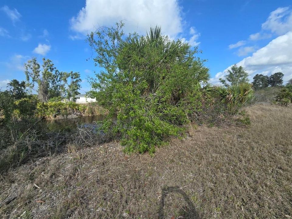 For Sale: $35,000 (0.23 acres)