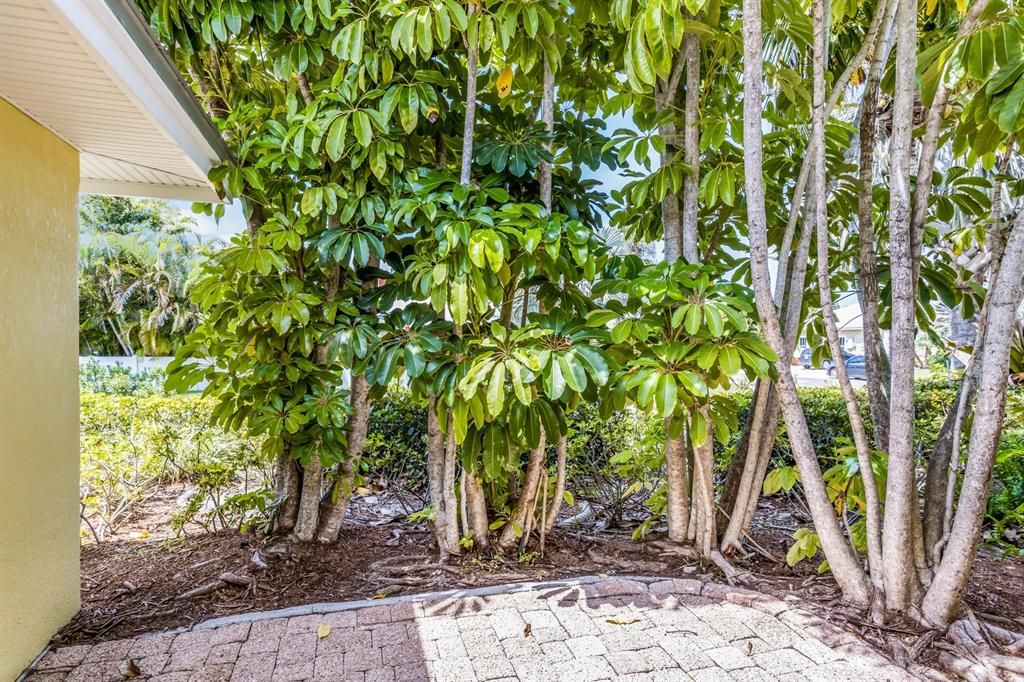 For Sale: $869,000 (2 beds, 2 baths, 910 Square Feet)