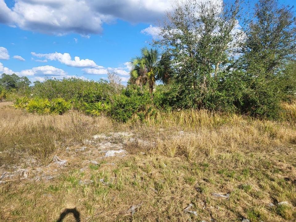 Недавно продано: $29,000 (0.32 acres)