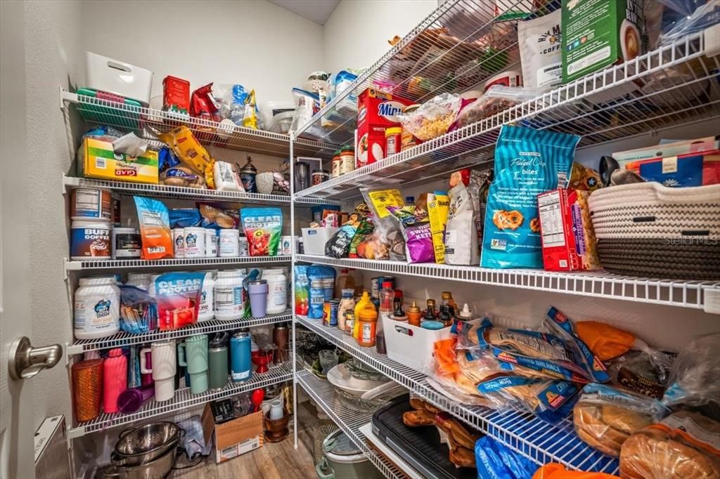 Large walk-in pantry in kitchen