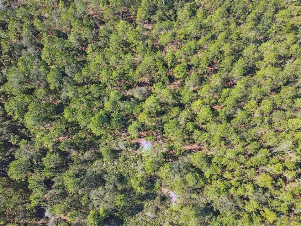 待售: $1,199,000 (10.00 acres)