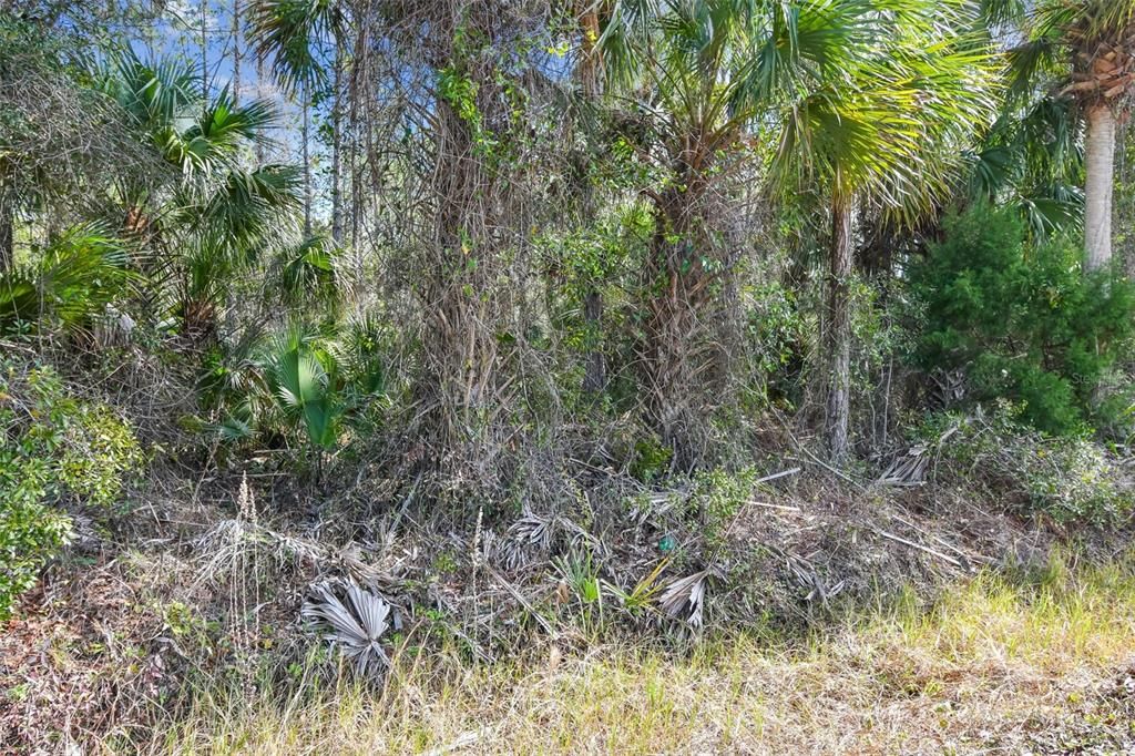 待售: $1,199,000 (10.00 acres)