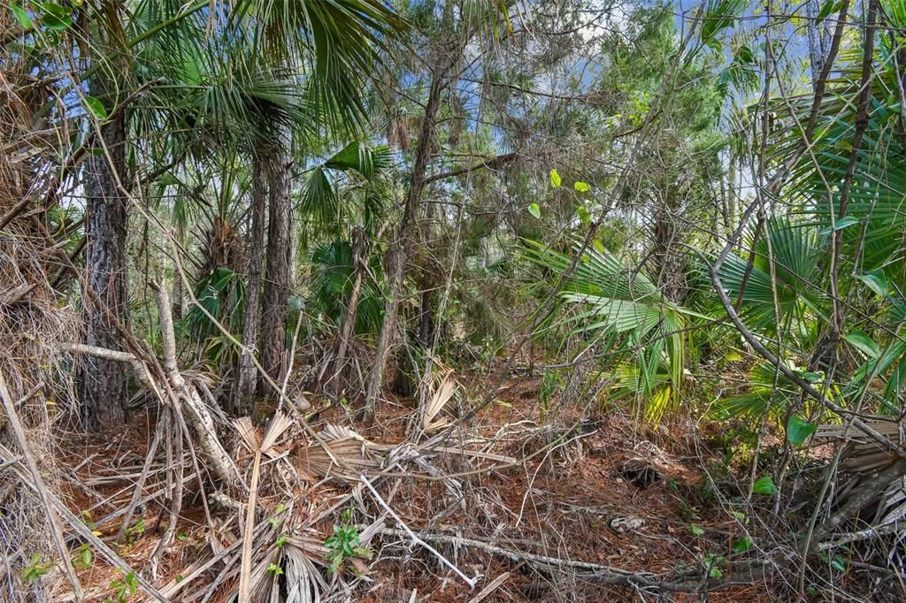 待售: $1,199,000 (10.00 acres)