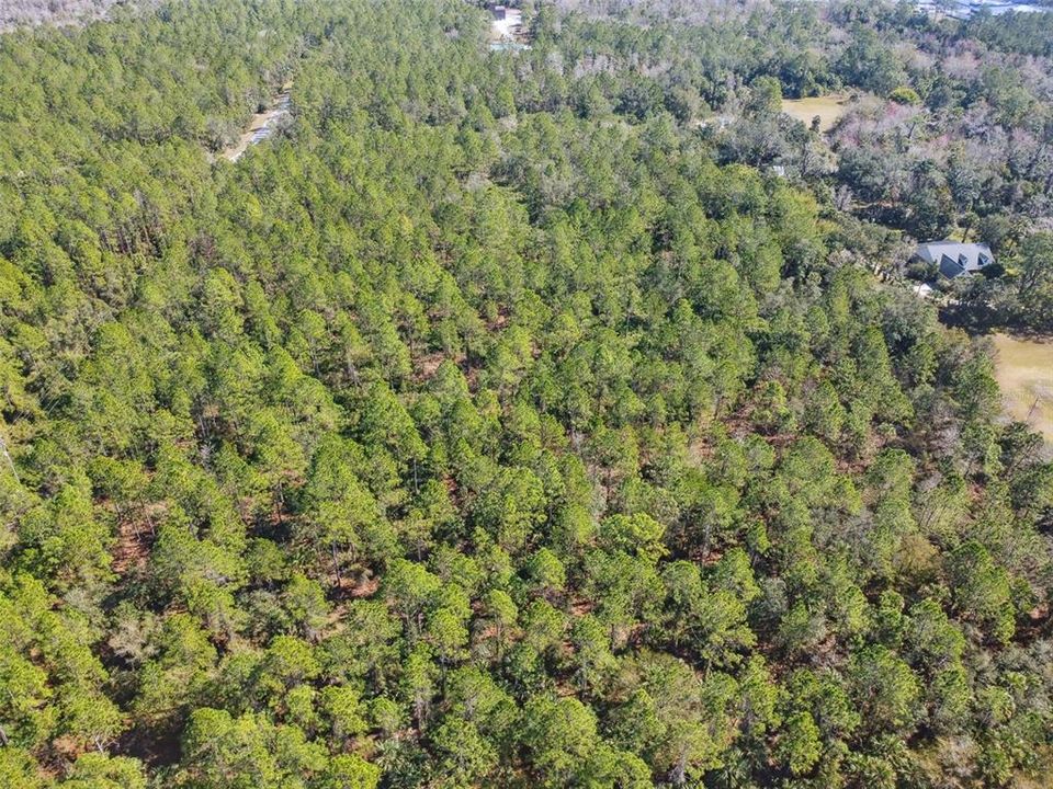 待售: $1,199,000 (10.00 acres)