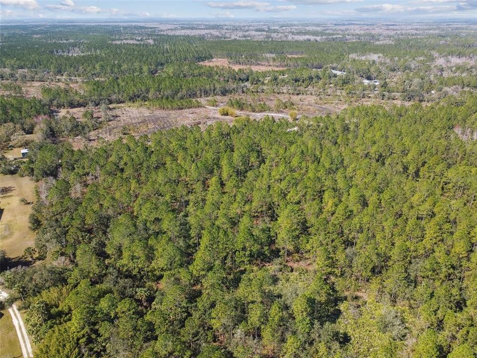 待售: $1,199,000 (10.00 acres)