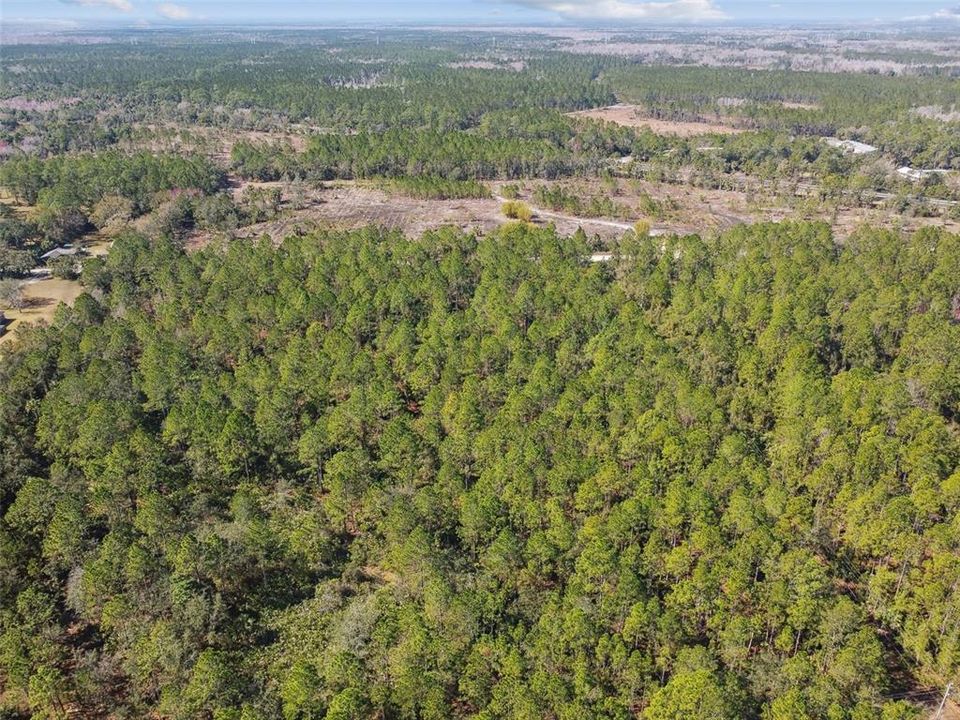 待售: $1,199,000 (10.00 acres)