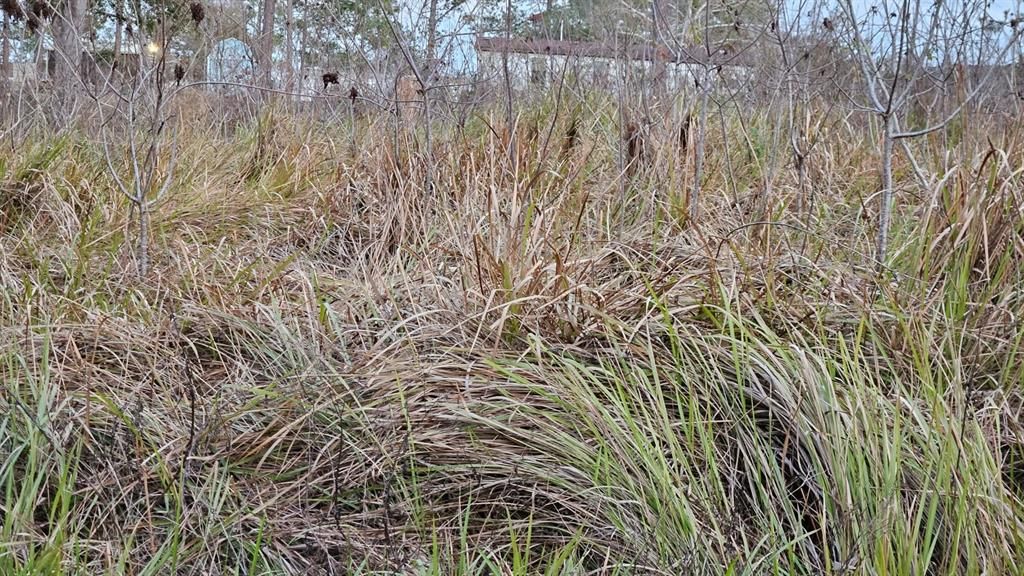 待售: $22,900 (0.19 acres)