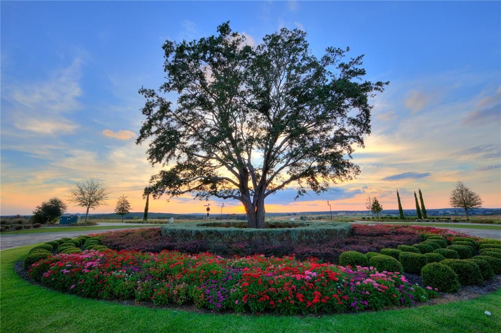 For Sale: $765,000 (0.26 acres)