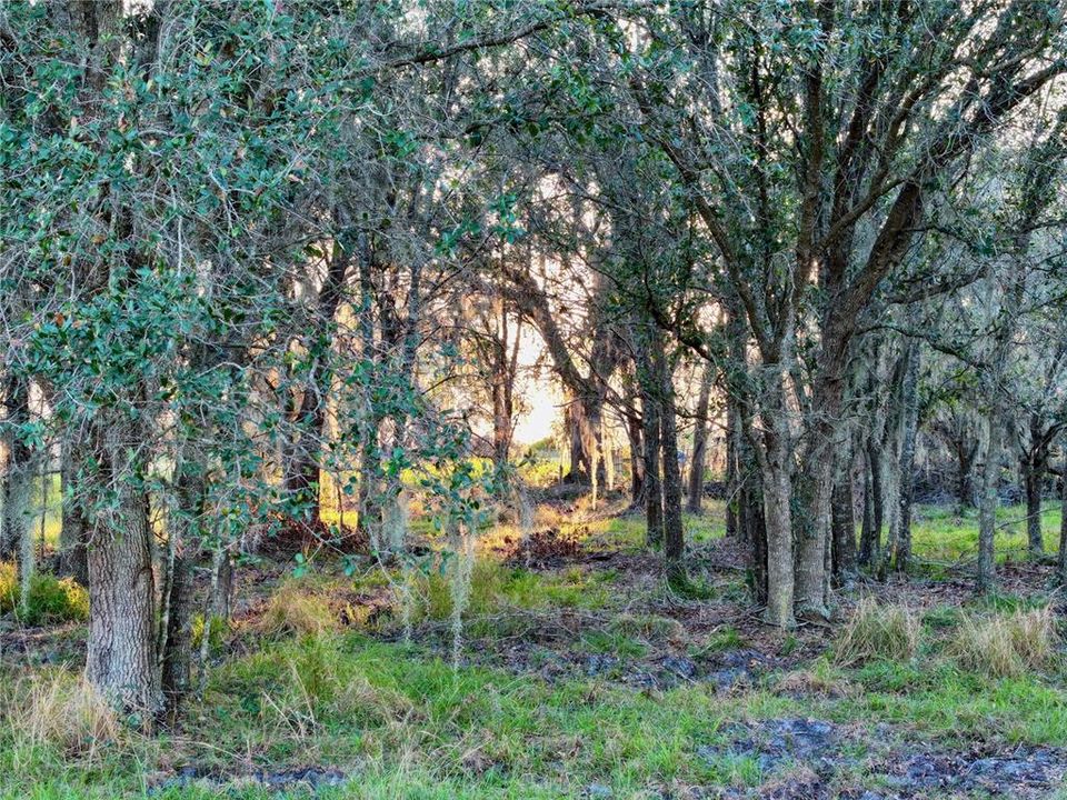 For Sale: $670,500 (37.25 acres)