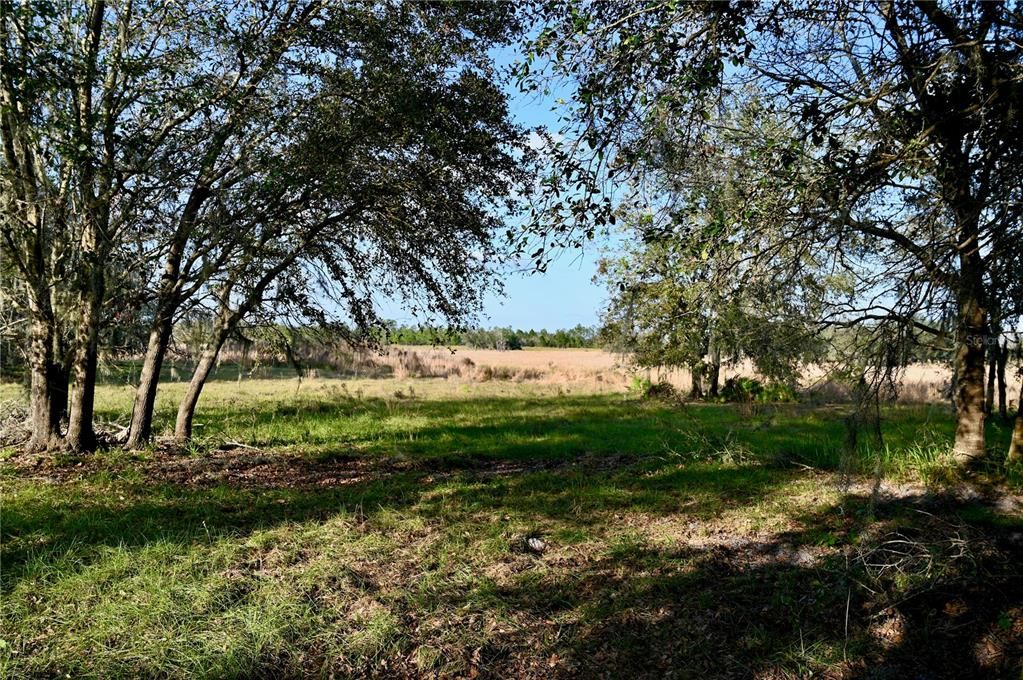 For Sale: $670,500 (37.25 acres)