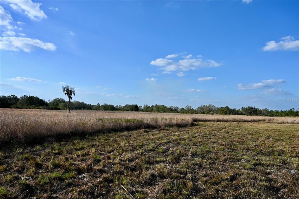 For Sale: $670,500 (37.25 acres)