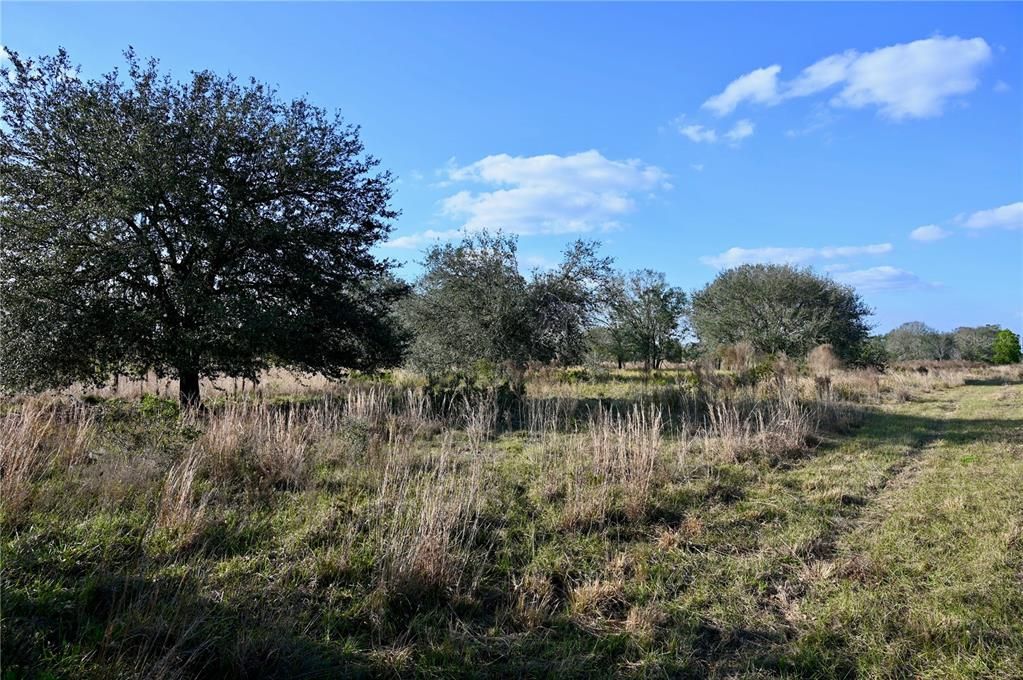 For Sale: $670,500 (37.25 acres)