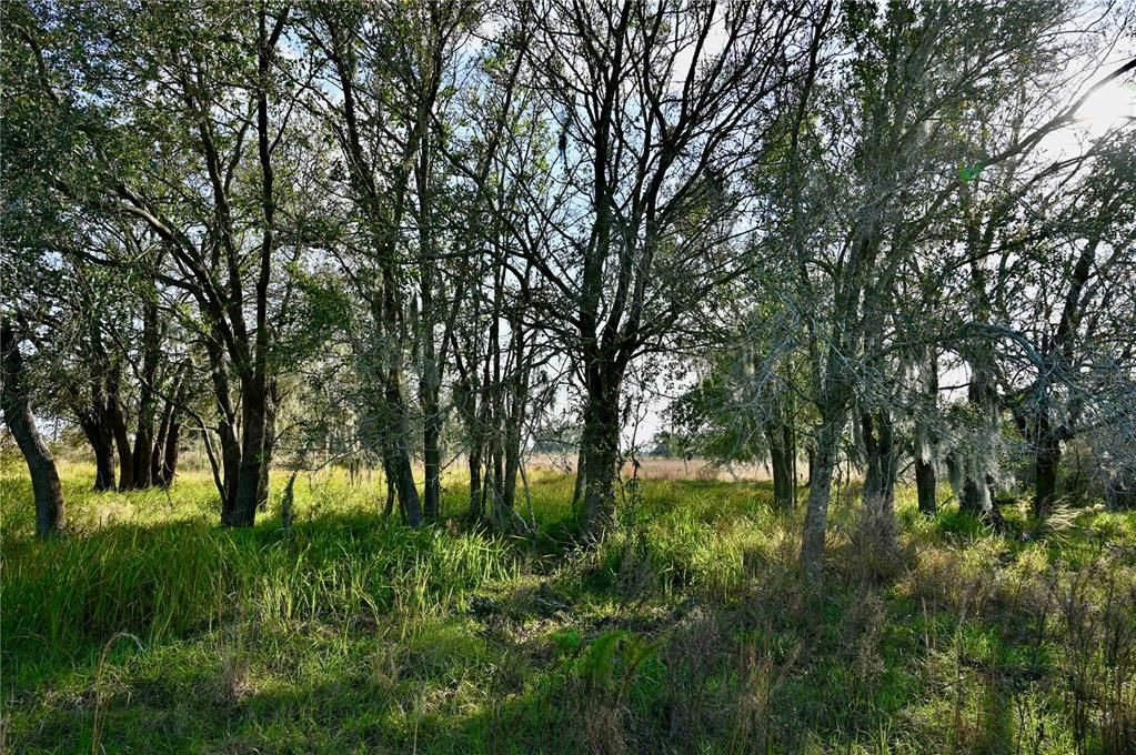 For Sale: $670,500 (37.25 acres)