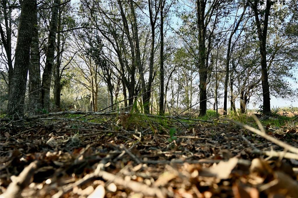 For Sale: $670,500 (37.25 acres)