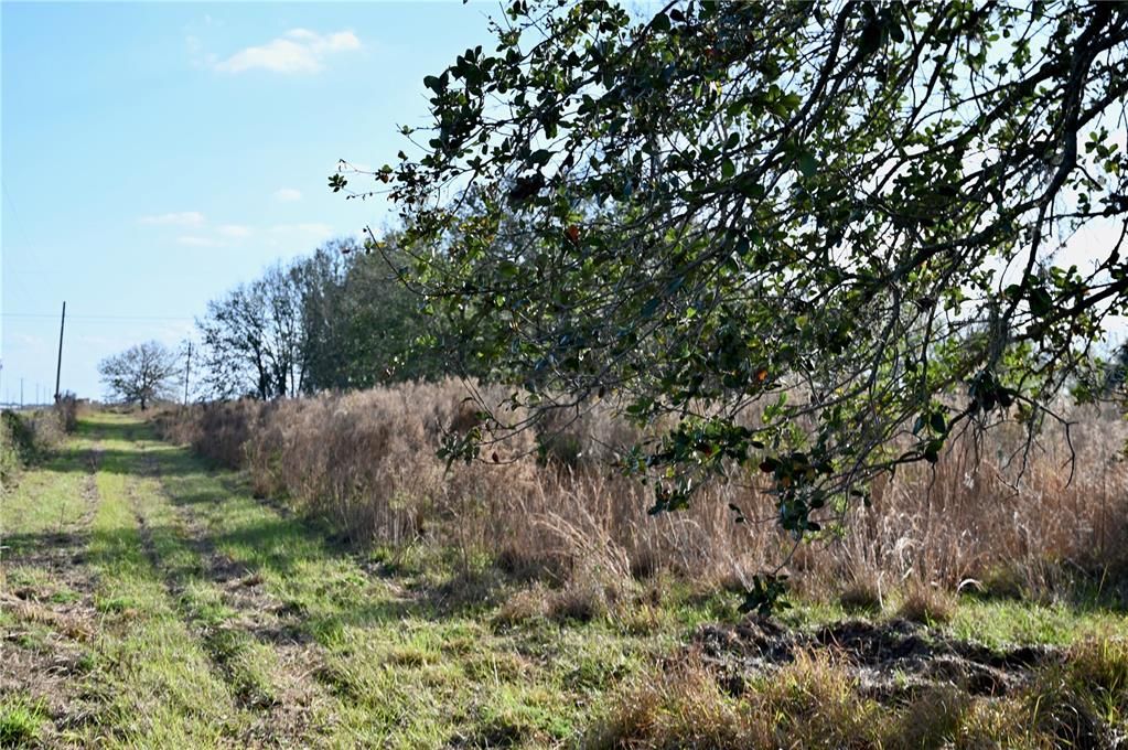 For Sale: $670,500 (37.25 acres)