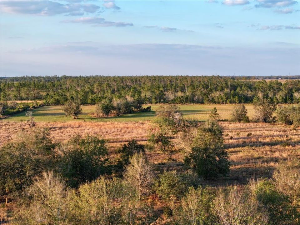 For Sale: $670,500 (37.25 acres)