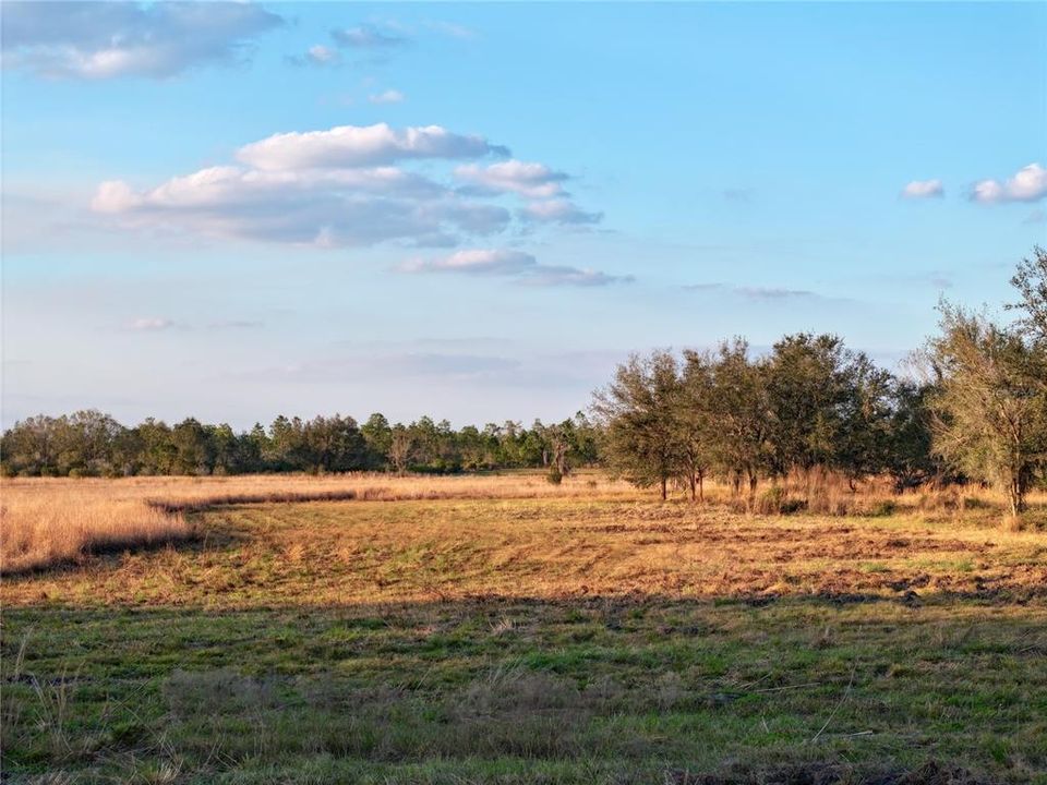 For Sale: $670,500 (37.25 acres)