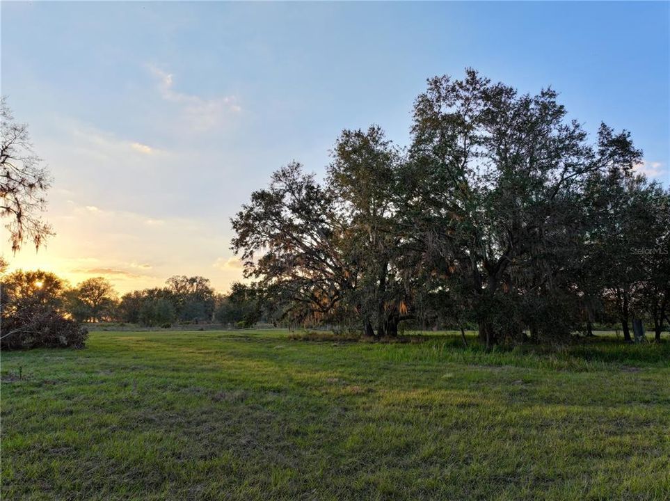 For Sale: $670,500 (37.25 acres)