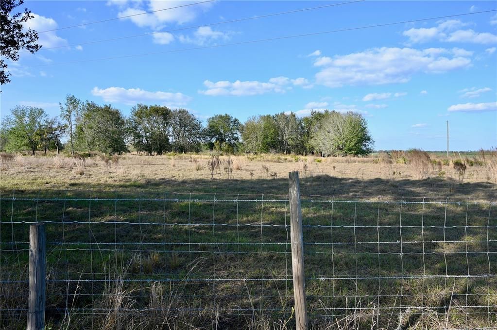 For Sale: $670,500 (37.25 acres)