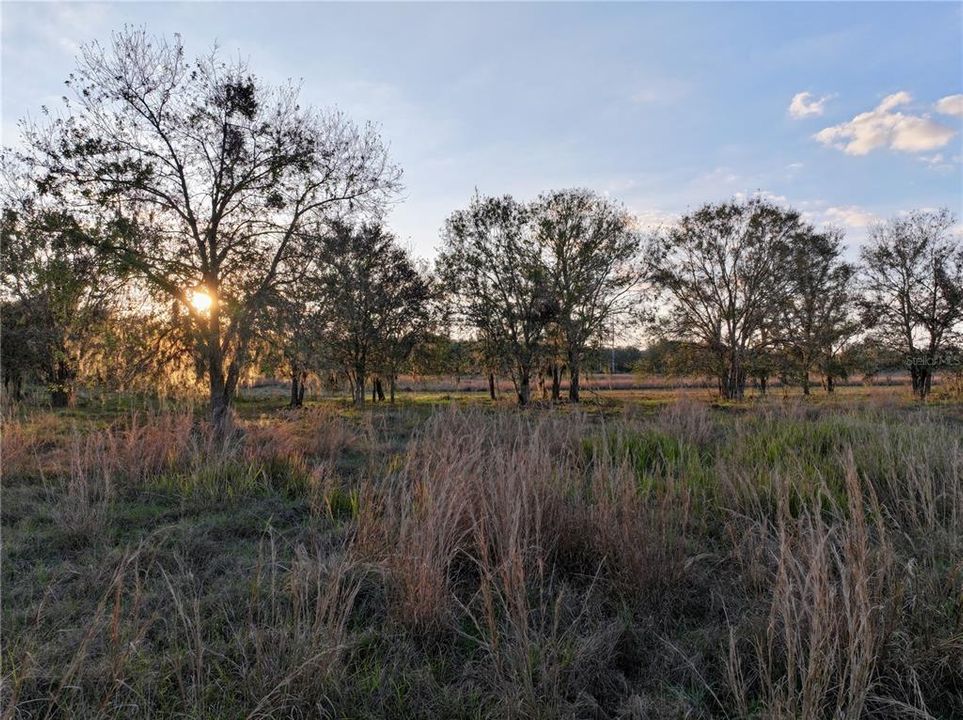 For Sale: $670,500 (37.25 acres)