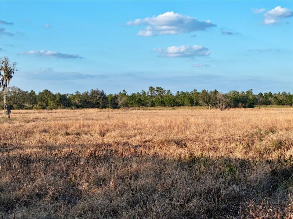 For Sale: $670,500 (37.25 acres)