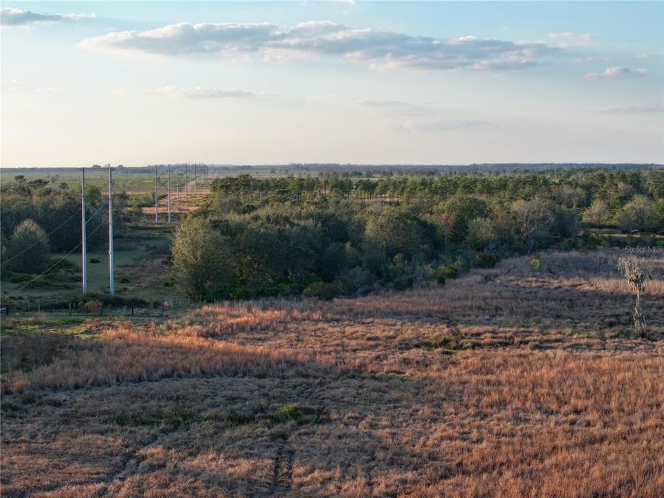 For Sale: $670,500 (37.25 acres)