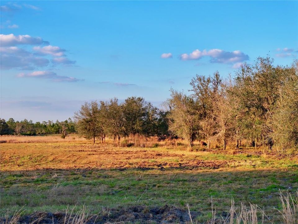 For Sale: $670,500 (37.25 acres)