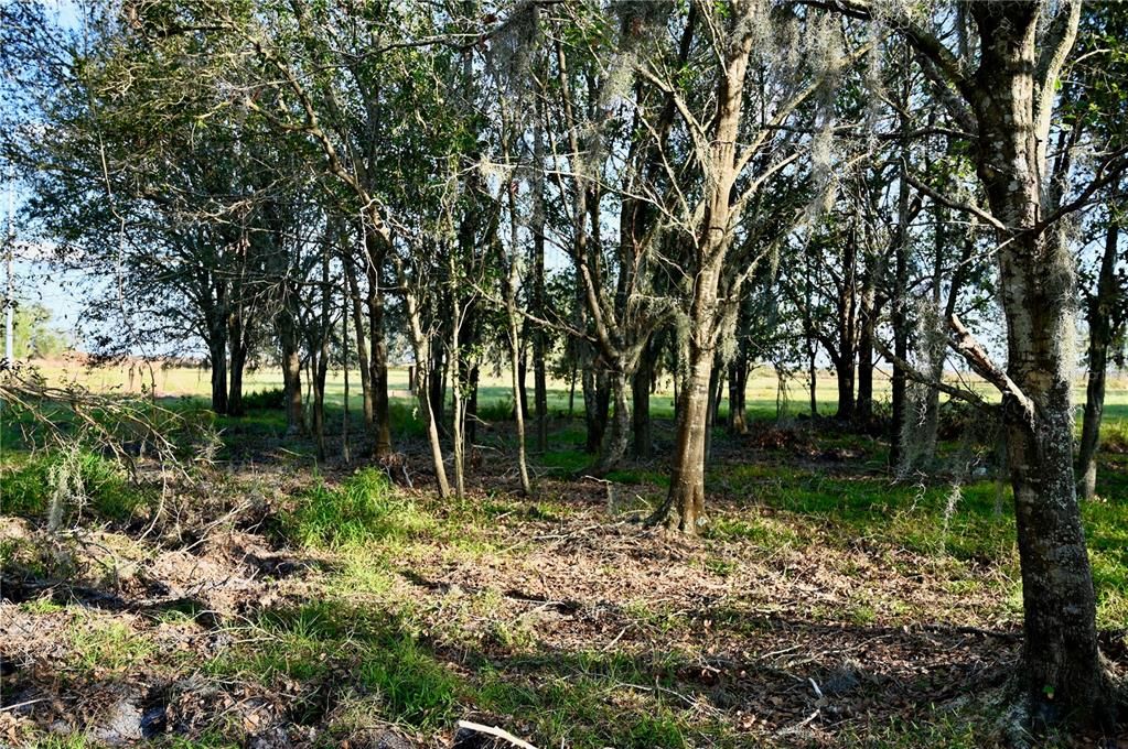 For Sale: $670,500 (37.25 acres)