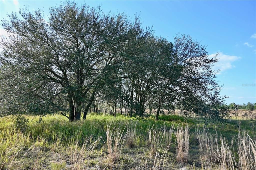 For Sale: $670,500 (37.25 acres)