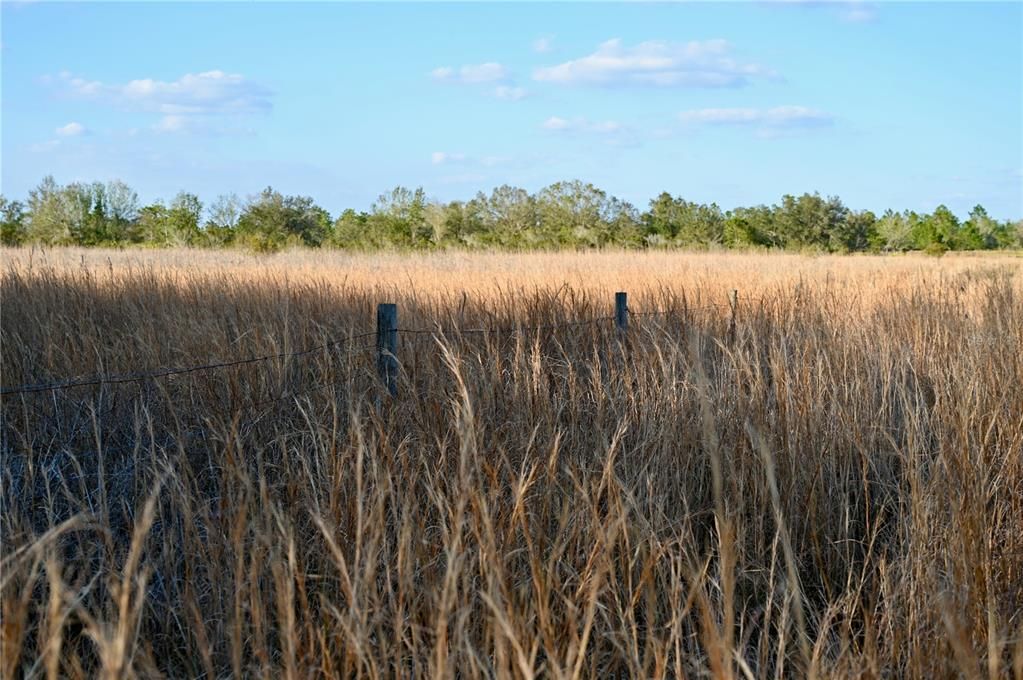 For Sale: $670,500 (37.25 acres)