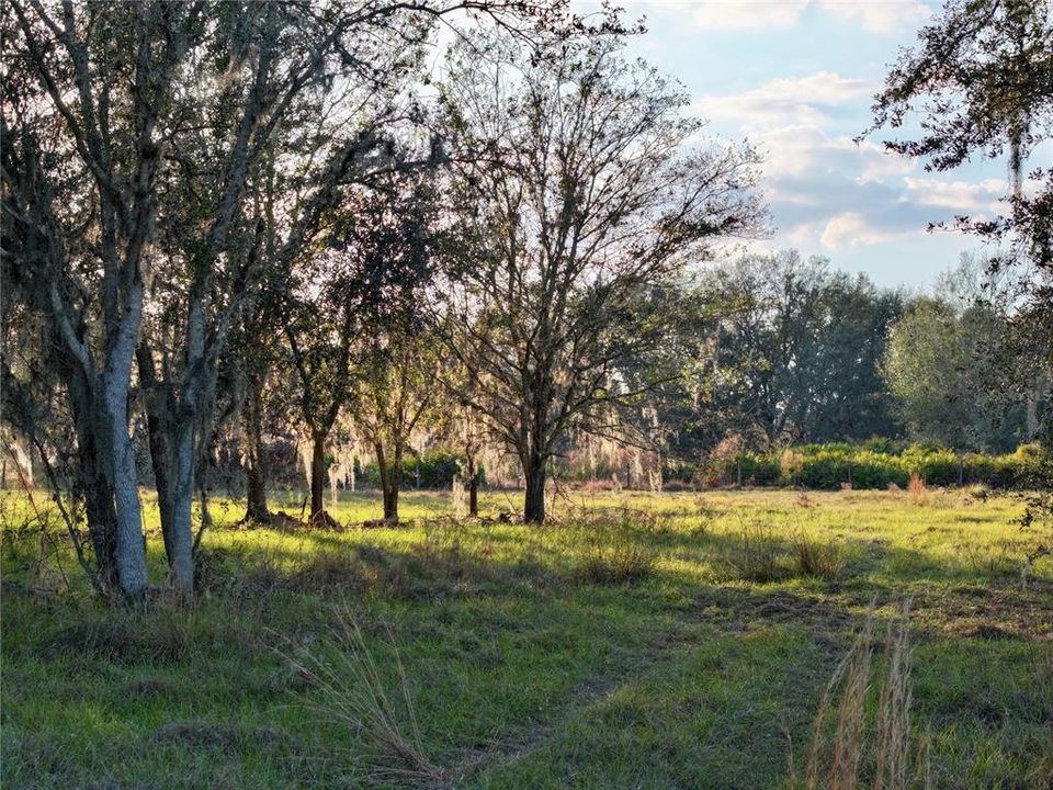 For Sale: $670,500 (37.25 acres)