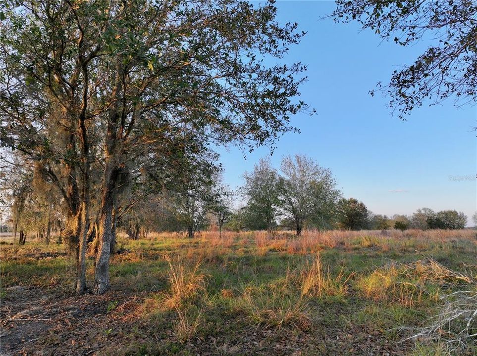 For Sale: $670,500 (37.25 acres)
