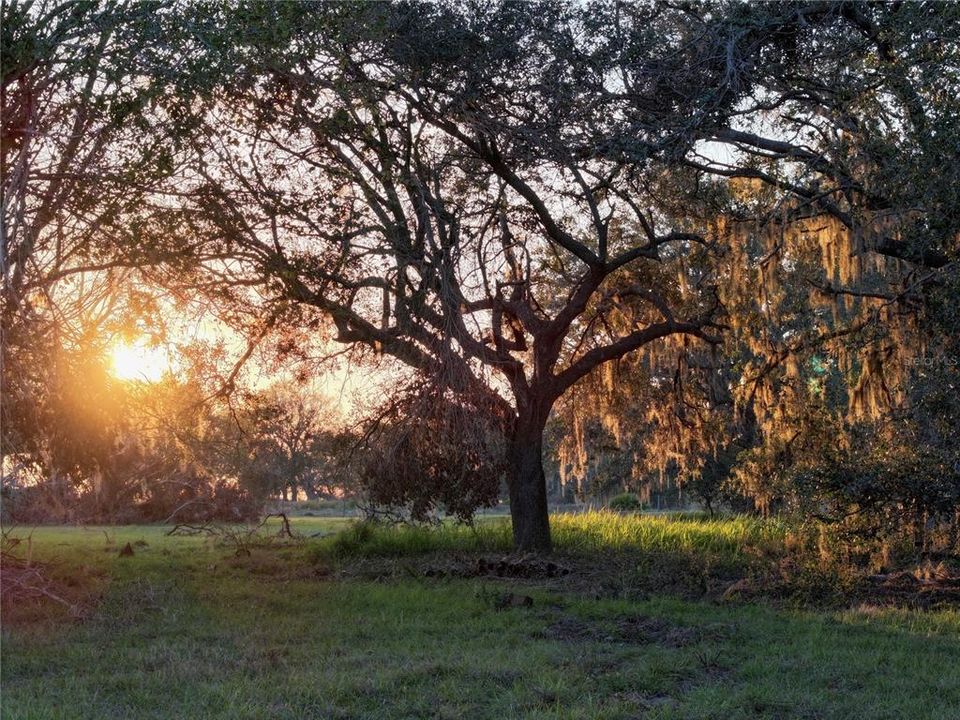 For Sale: $670,500 (37.25 acres)