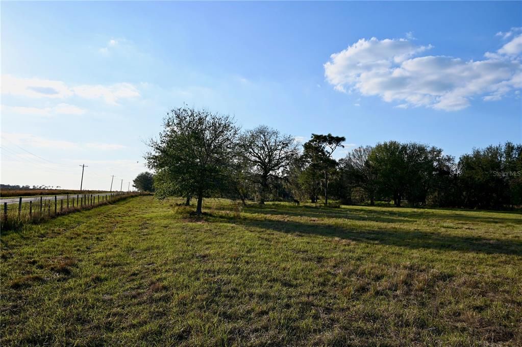 For Sale: $670,500 (37.25 acres)