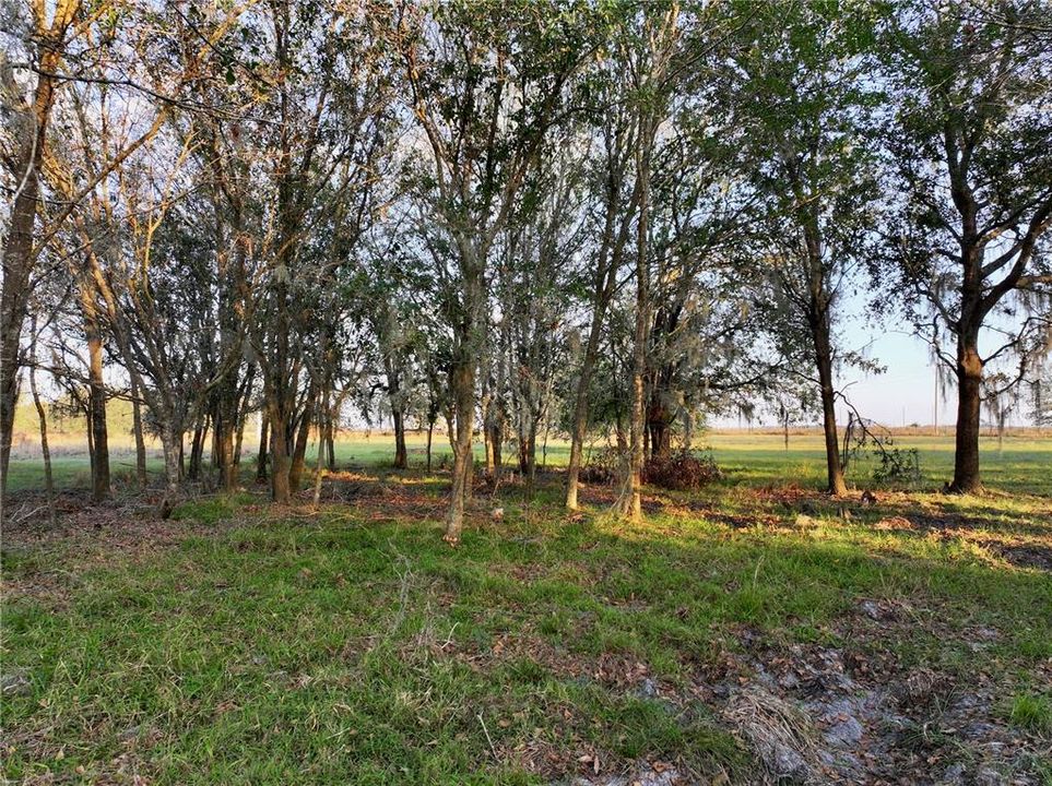 For Sale: $670,500 (37.25 acres)