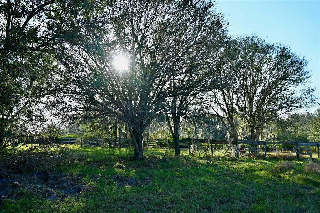 For Sale: $670,500 (37.25 acres)