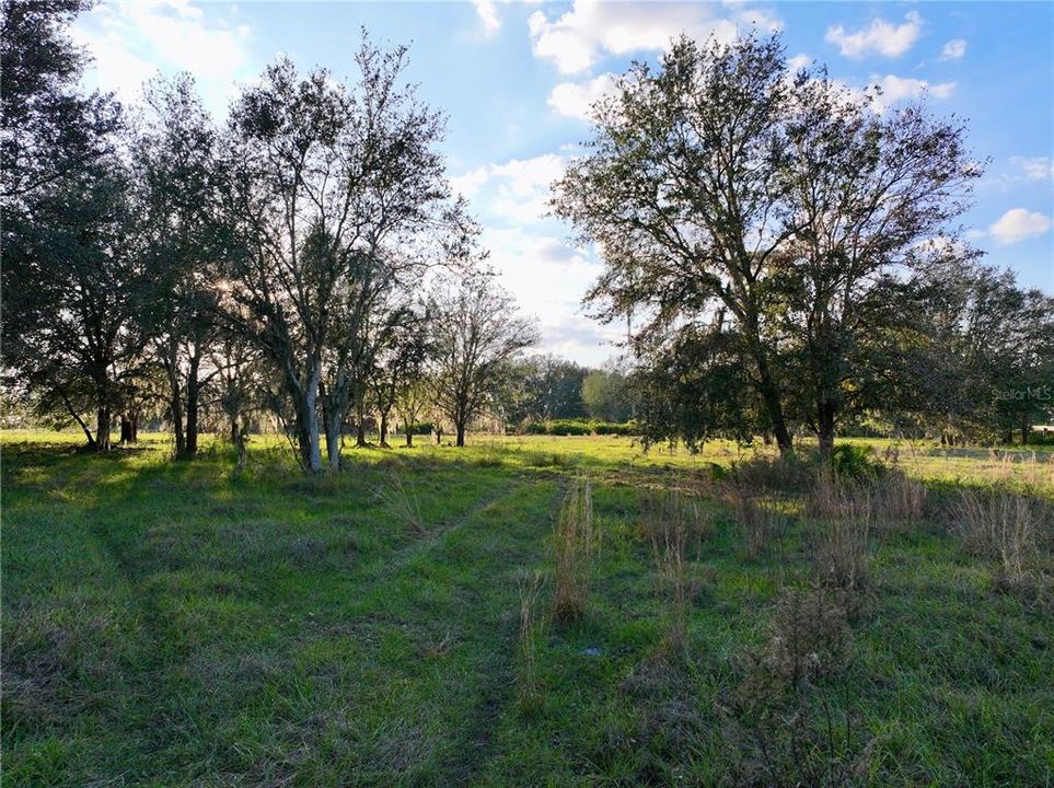 For Sale: $670,500 (37.25 acres)