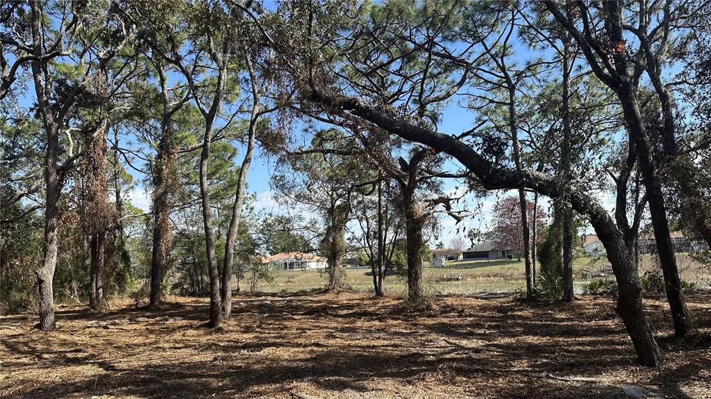 For Sale: $99,500 (0.72 acres)