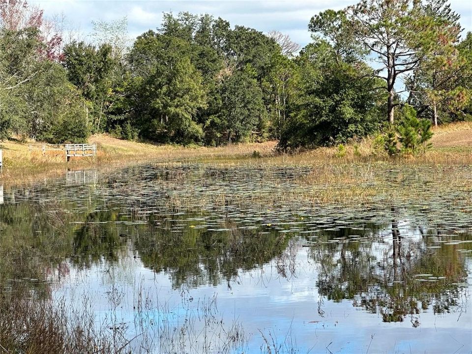 For Sale: $99,500 (0.72 acres)