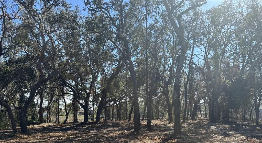 For Sale: $99,500 (0.72 acres)