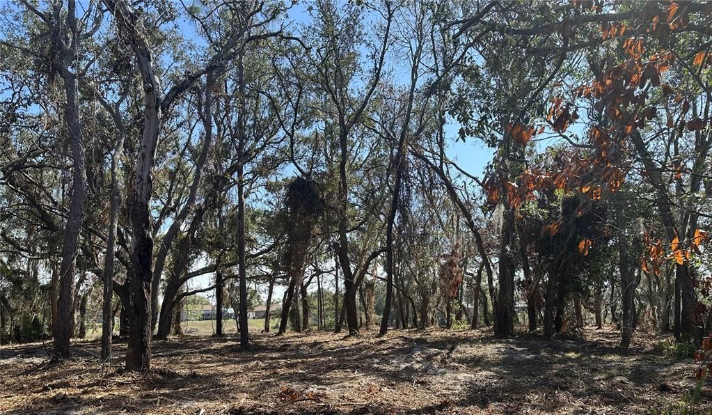 For Sale: $99,500 (0.72 acres)