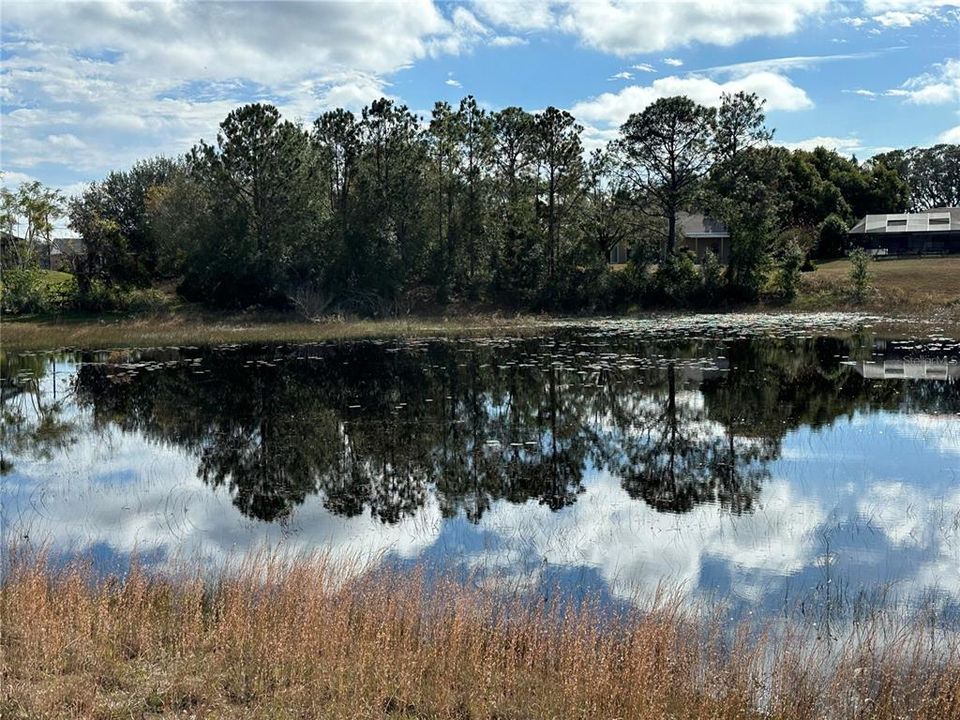 For Sale: $99,500 (0.72 acres)