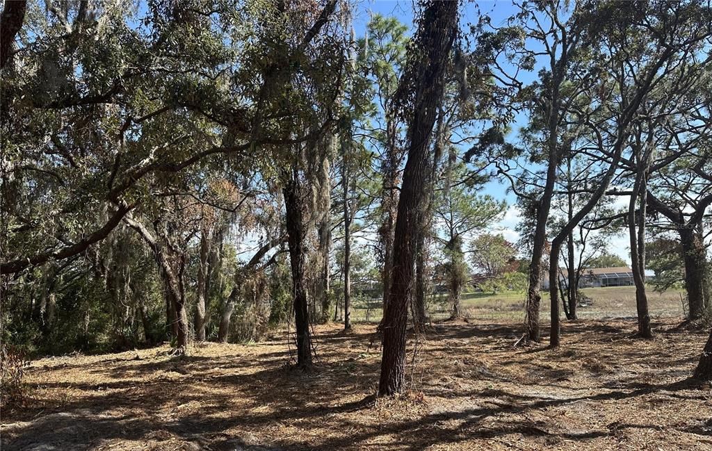 For Sale: $99,500 (0.72 acres)