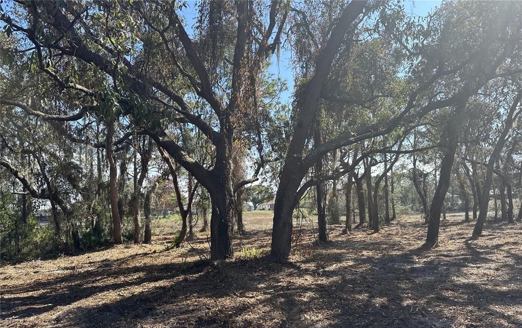 For Sale: $99,500 (0.72 acres)