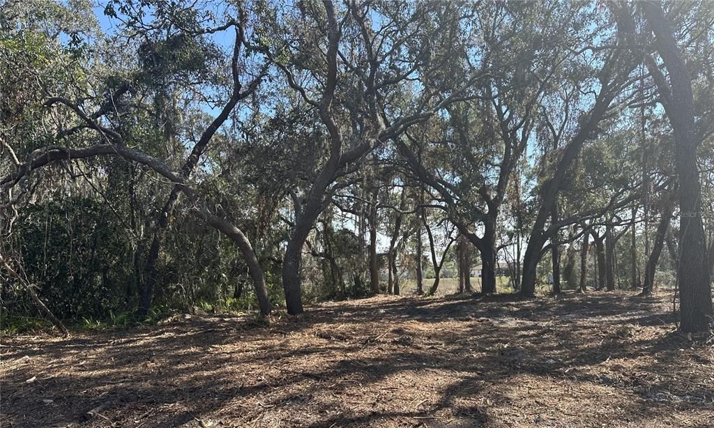 For Sale: $99,500 (0.72 acres)