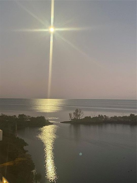 En Renta: $2,995 (3 camas, 2 baños, 1563 Pies cuadrados)