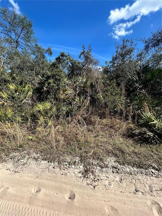 En Venta: $18,000 (0.28 acres)