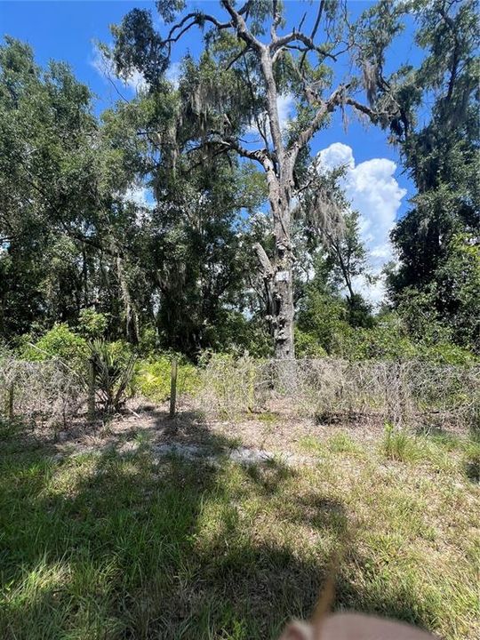 En Venta: $25,000 (0.22 acres)