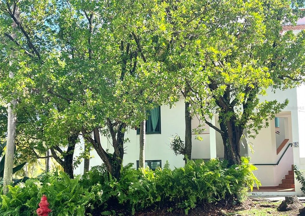 For Rent: $3,000 (2 beds, 2 baths, 1772 Square Feet)